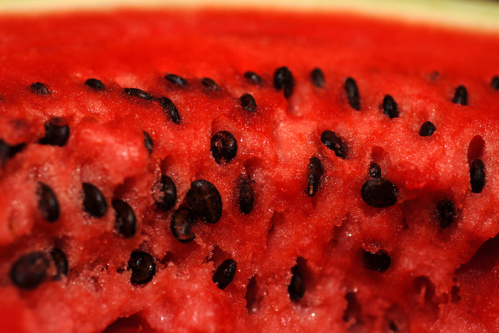 Wassermelonenkerne Essen Oder Nicht Wie Gesund Sind Sie Die Frische Kuche